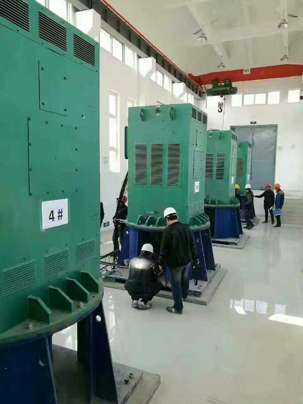 东方华侨农场某污水处理厂使用我厂的立式高压电机安装现场