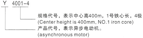 西安泰富西玛Y系列(H355-1000)高压东方华侨农场三相异步电机型号说明